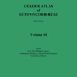 Colour Atlas of Ectomycorrhizae – Vol. 14 + Descriptions of Ecthomycorrhizae Vol. 11/12