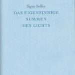 Das eigensinnige Summen des Lichts