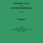 Colour Atlas of Ectomycorrhizae – Vol. 2