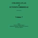 Colour Atlas of Ectomycorrhizae – Vol. 7