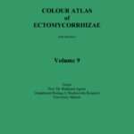 Colour Atlas of Ectomycorrhizae – Vol. 9