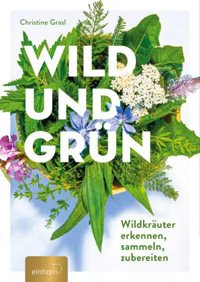 Wild und Grün - Wildkräuter erkennen, sammeln, zubereiten – Bild 1